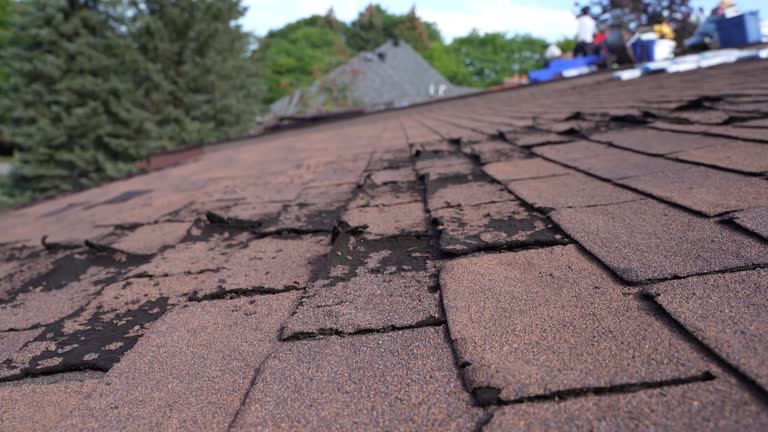 Fast & Reliable Emergency Roof Repairs in Albers, IL